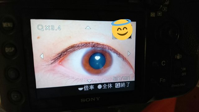 百均のグッズ間違った使い方選手権