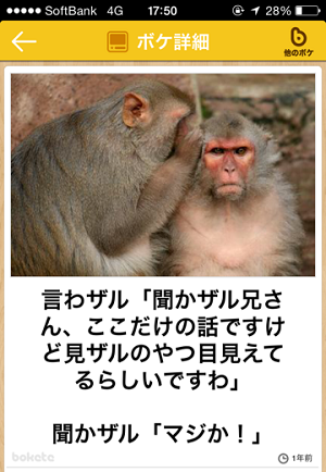 「ボケて（bokete）」最高作品20選