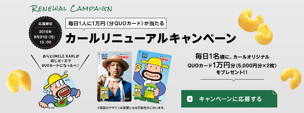 カールリニューアルキャンペーン