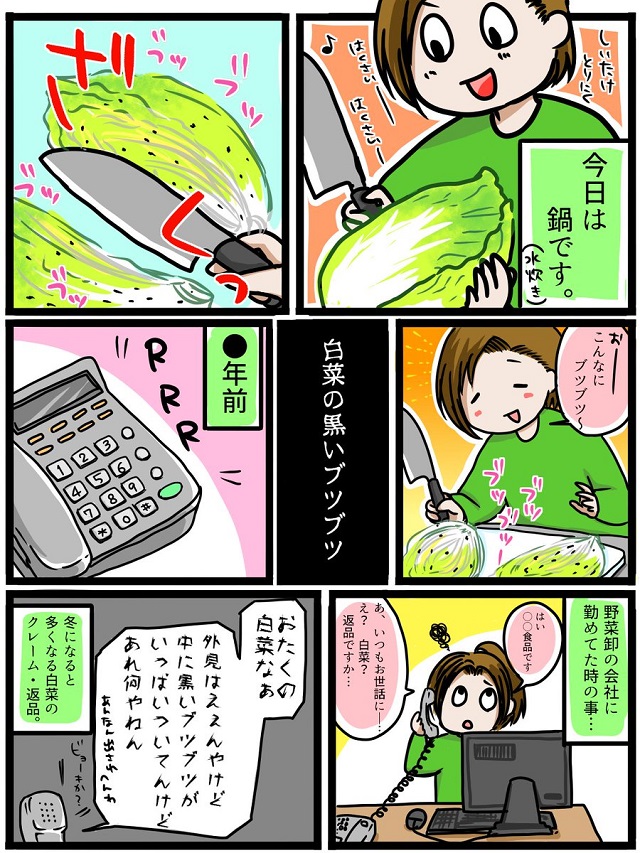 白菜の黒いブツブツの正体