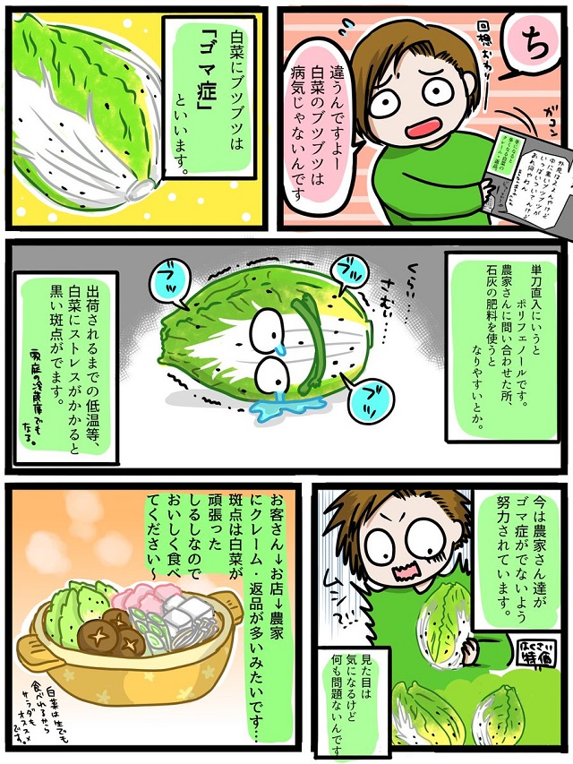 白菜の黒いブツブツの正体