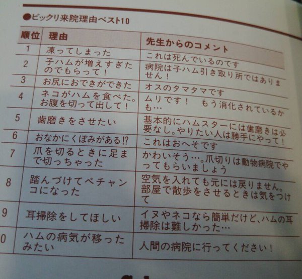 ハムスターのビックリ来院理由