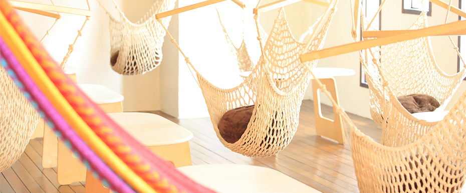 ハンモックカフェ