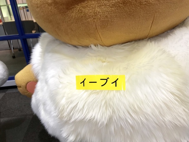 イーブイがキングジムに訪問