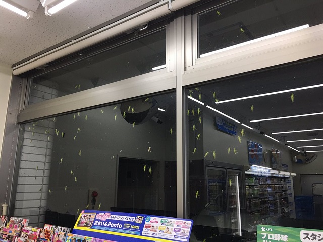 田舎のコンビニあるある