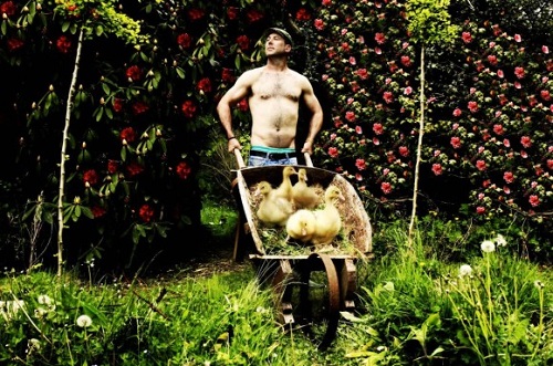 アヒルを運ぶ農業男子