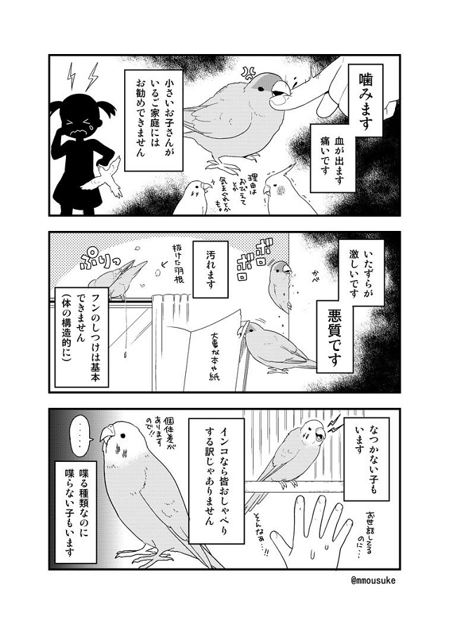 小鳥を飼う前に読んで欲しい漫画