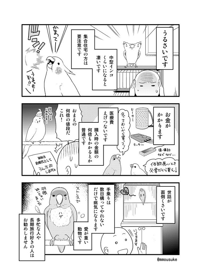 小鳥を飼う前に読んで欲しい漫画
