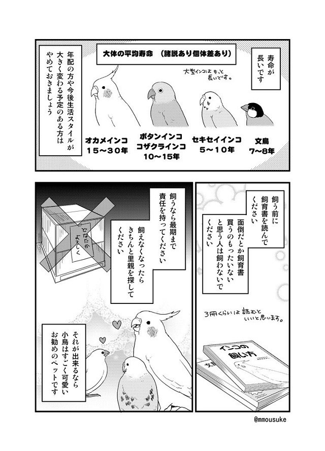 小鳥を飼う前に読んで欲しい漫画