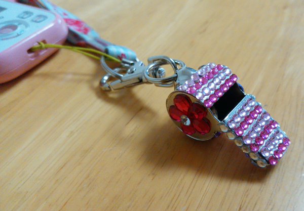 警視庁警備部災害対策課