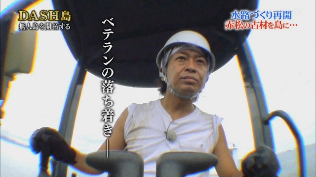 逃げるは恥だが役に立つみたいに言う