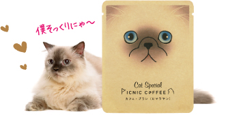PICNIC COFFEE猫ちゃん