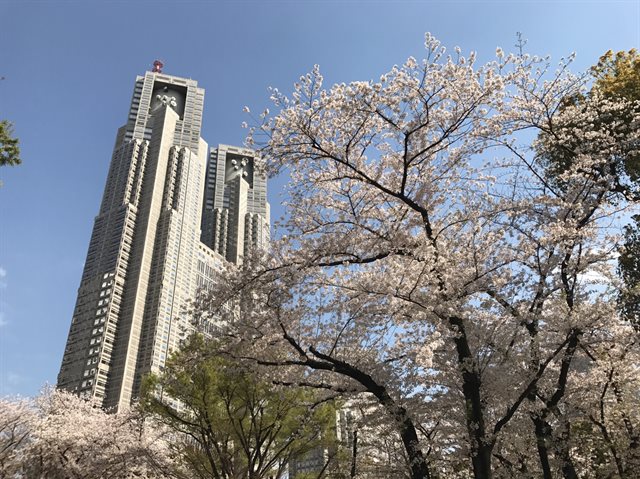 ピザポテト