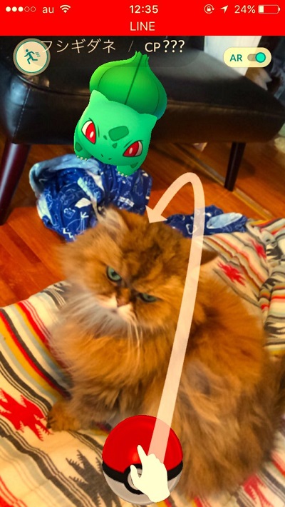 ポケモンGOで起こった珍プレー