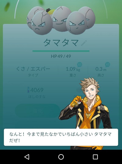 ポケモンの強さを評価してくれる機能
