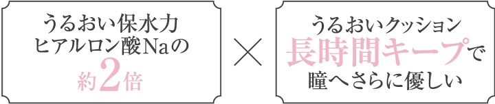 レヴィア ワンデープレミア