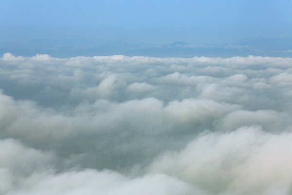 東京スカイツリーに雲海