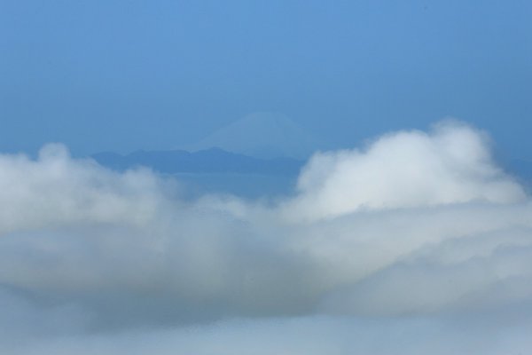 東京スカイツリーに雲海