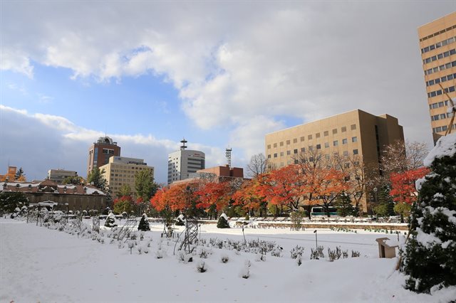 北海道の紅葉と雪