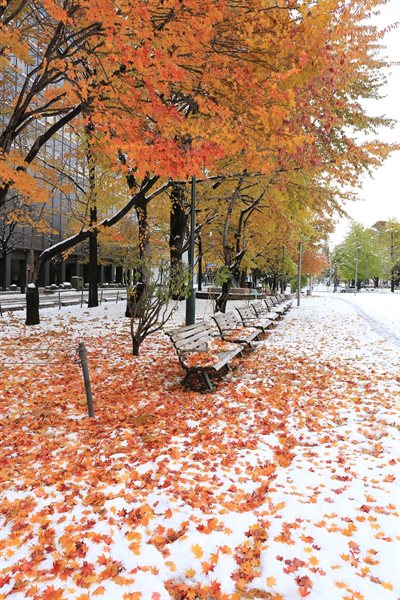 北海道の紅葉と雪