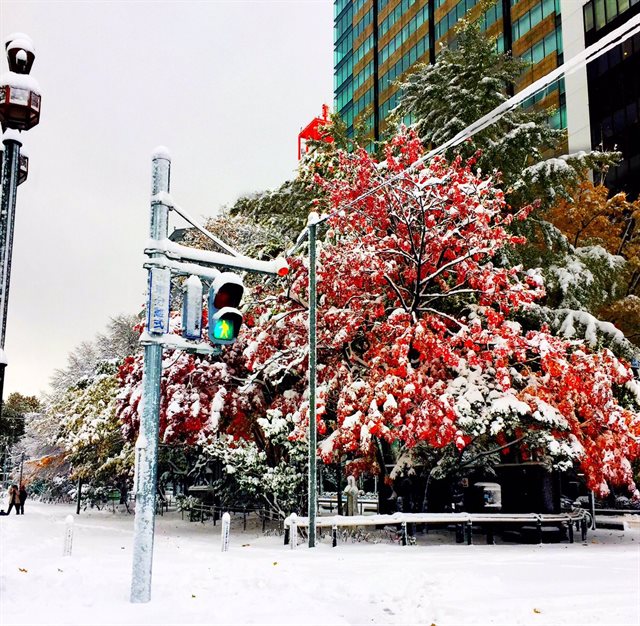 北海道の紅葉と雪