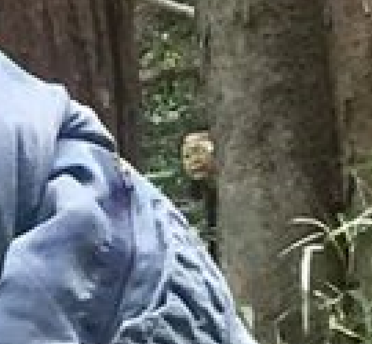 りゅうちぇるがTwitterに心霊写真