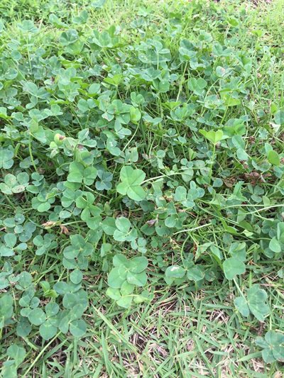 全くインスタ映えしない風景写真選手権