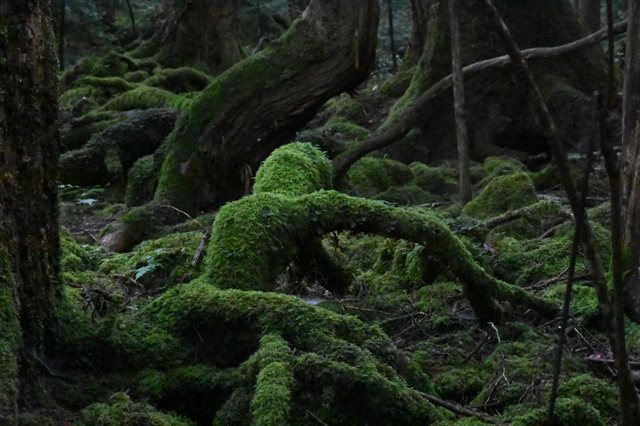 全くインスタ映えしない風景写真選手権