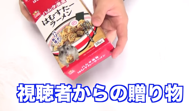 カップルヌードルミニを食べるハムスター