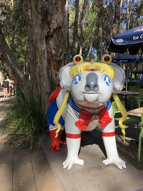 オーストラリアにびっくりするコアラさんがいたわ