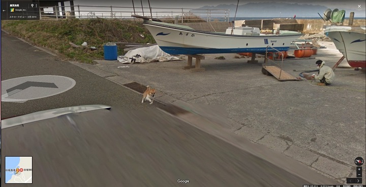 グーグルストリートビュー撮影車が犬に追いかけられてる