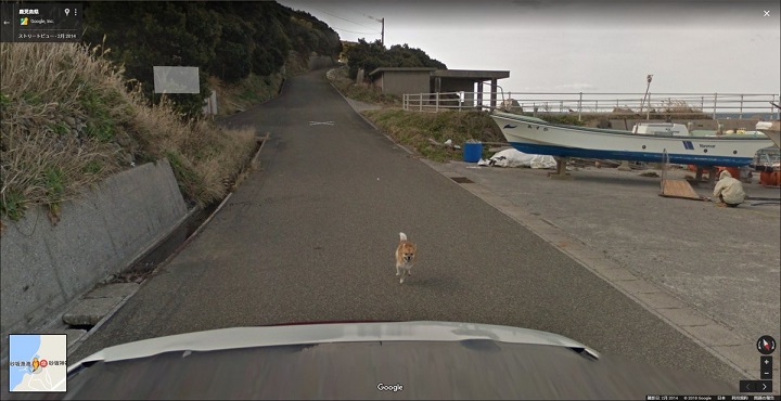 グーグルストリートビュー撮影車が犬に追いかけられてる