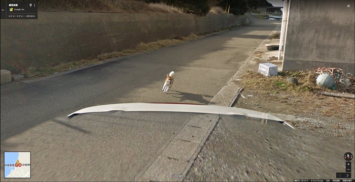 グーグルストリートビュー撮影車が犬に追いかけられてる