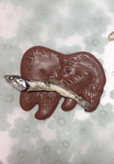 おもしろバレンタイン特集