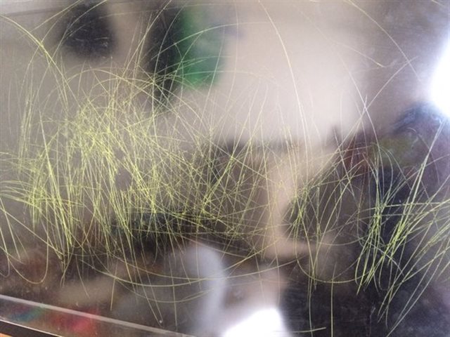 我が子のいたずら画像