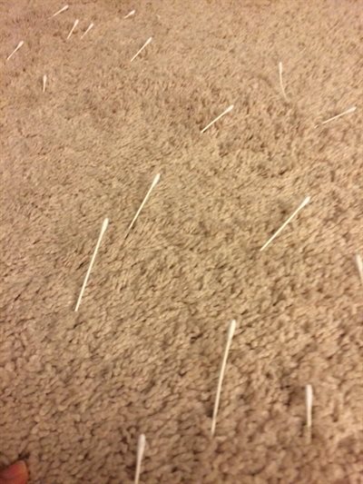 我が子のいたずら画像