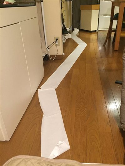 我が子のいたずら画像