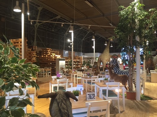 WANGAN-Zoo-Adventureカフェスペース