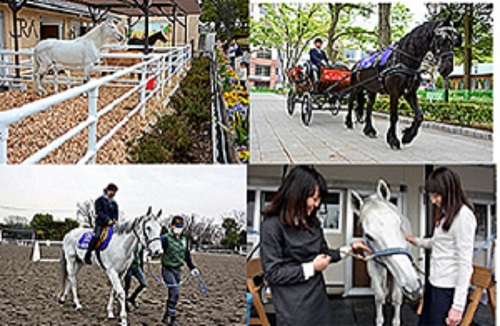 府中競馬場