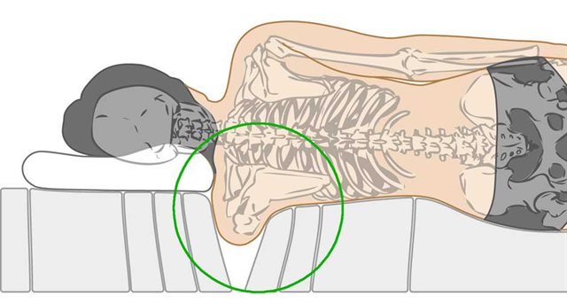 Cuddle Mattress