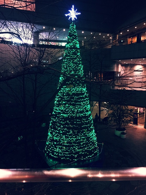 IKEAもみの木