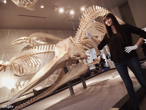 4月ドラマまとめ