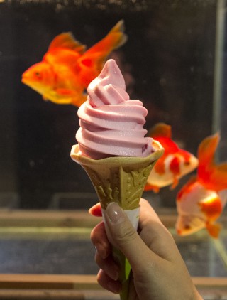 金魚ワンダーランド