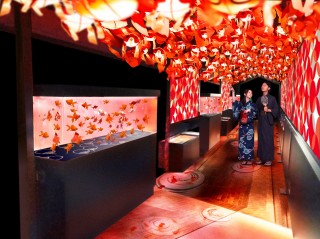 金魚ワンダーランド