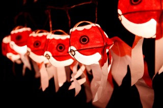 金魚ワンダーランド