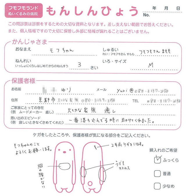 ぬいぐるみ病院