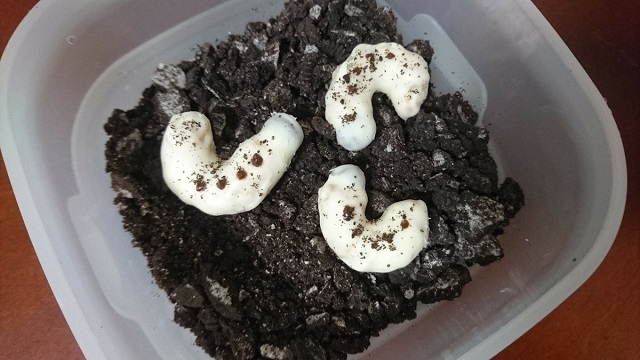 日本の義理チョコ文化を楽しもう