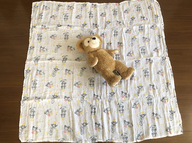 モスリンスワドル