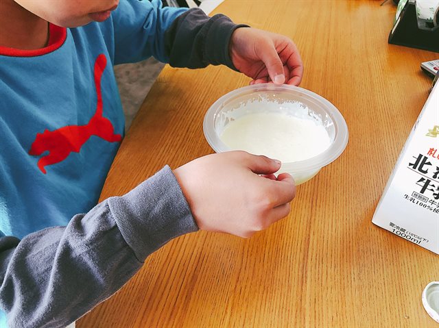 ピジョンケーキキット